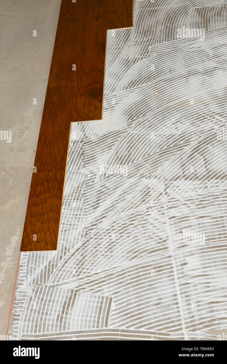 Installation of new engineered wood flooring Stock Photo - Alamy