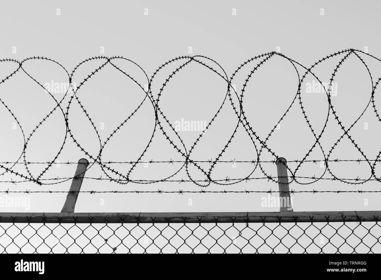 Tangled razor wire on top of a wire mesh perimeter fence, black and white Stock Photo
