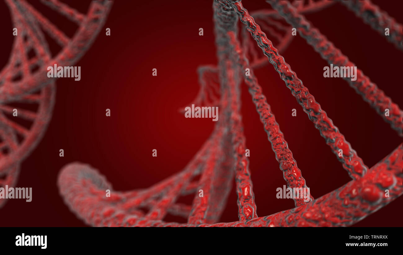 D N A vector, red line, red background Stock Photo