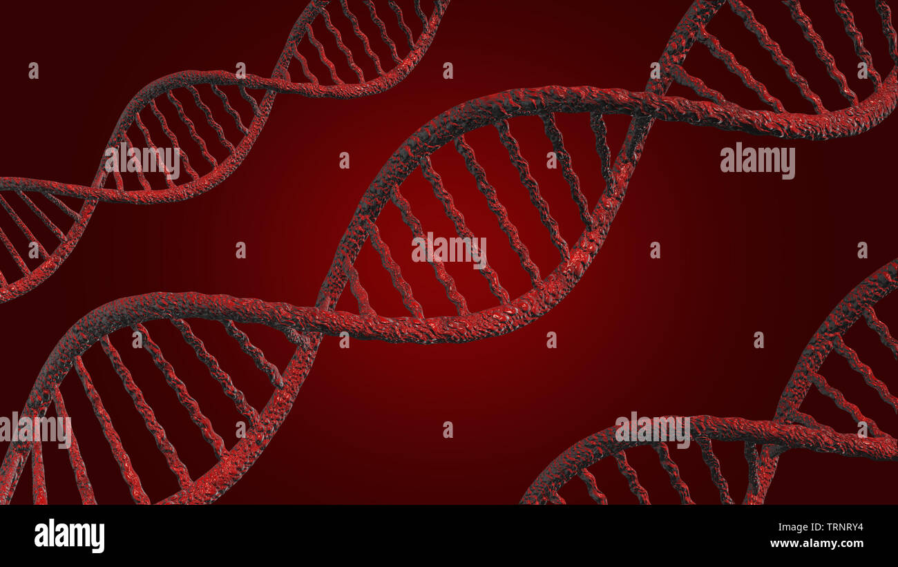 D N A vector, red line, red background Stock Photo