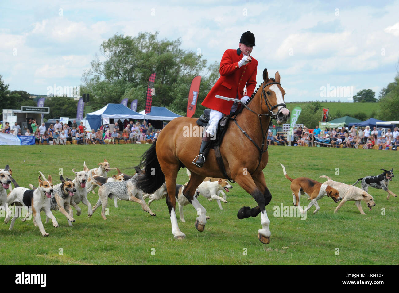 Herefordshire Country Fair 2015 - Castle Meadow, Caradoc. South Herefordshire Hunt Master Paul Oliver, convicted in June 2019 of animal cruelty. Stock Photo