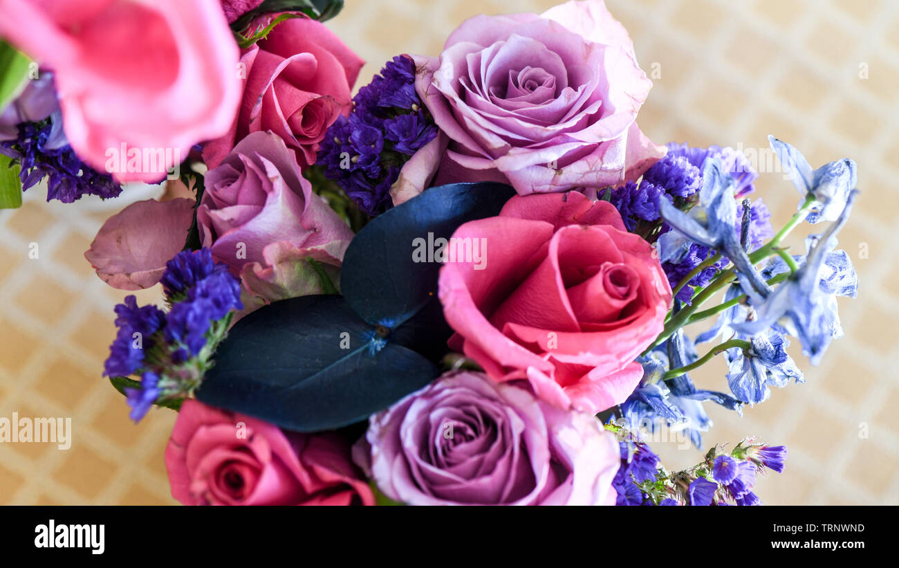 An aerial view of an indoor arrangement of roses with lovely fragrance, a dash of color in a vase for indoor display of beautified with pink and lilac Stock Photo