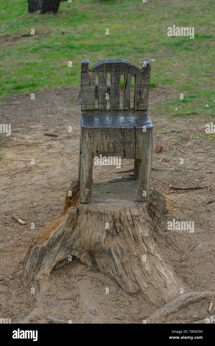 carved chair in a tree in a forest, work of the artisan man who carves pieces in dead trees Stock Photo