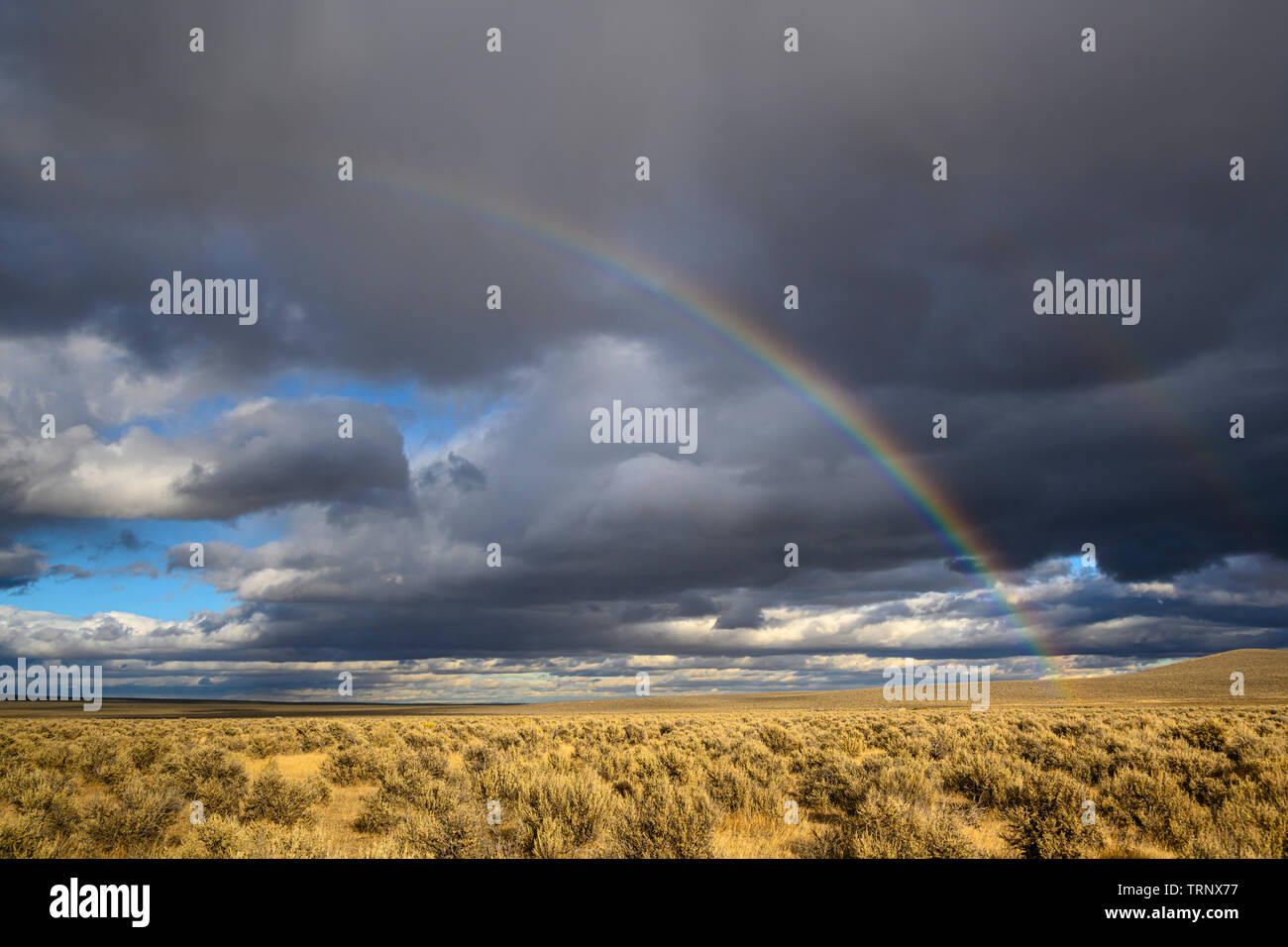 Rainbow over the sagebrush desert of southeast Oregon. Stock Photo