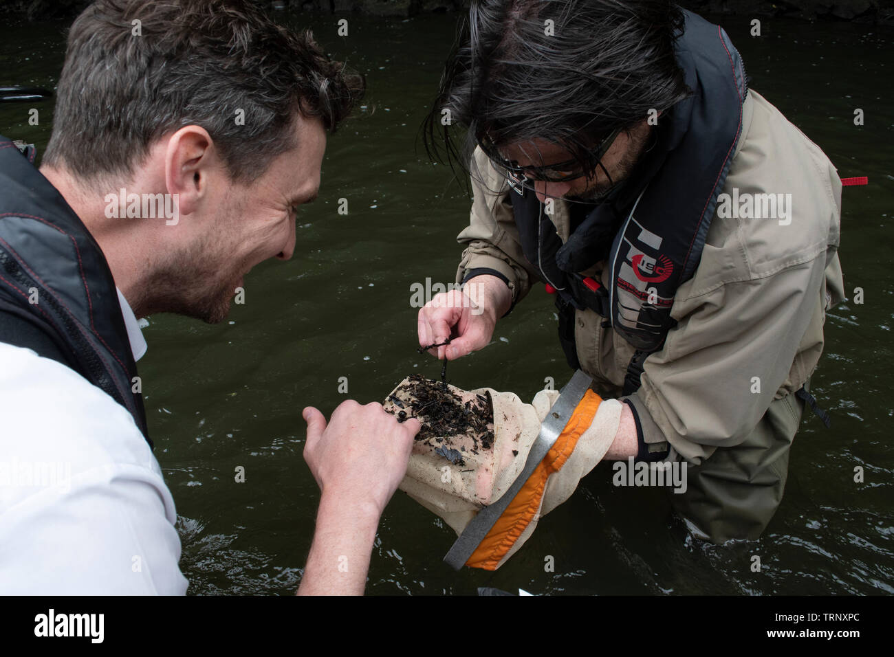 for Stock Kick ... shad sampling eggs allis Photo survey