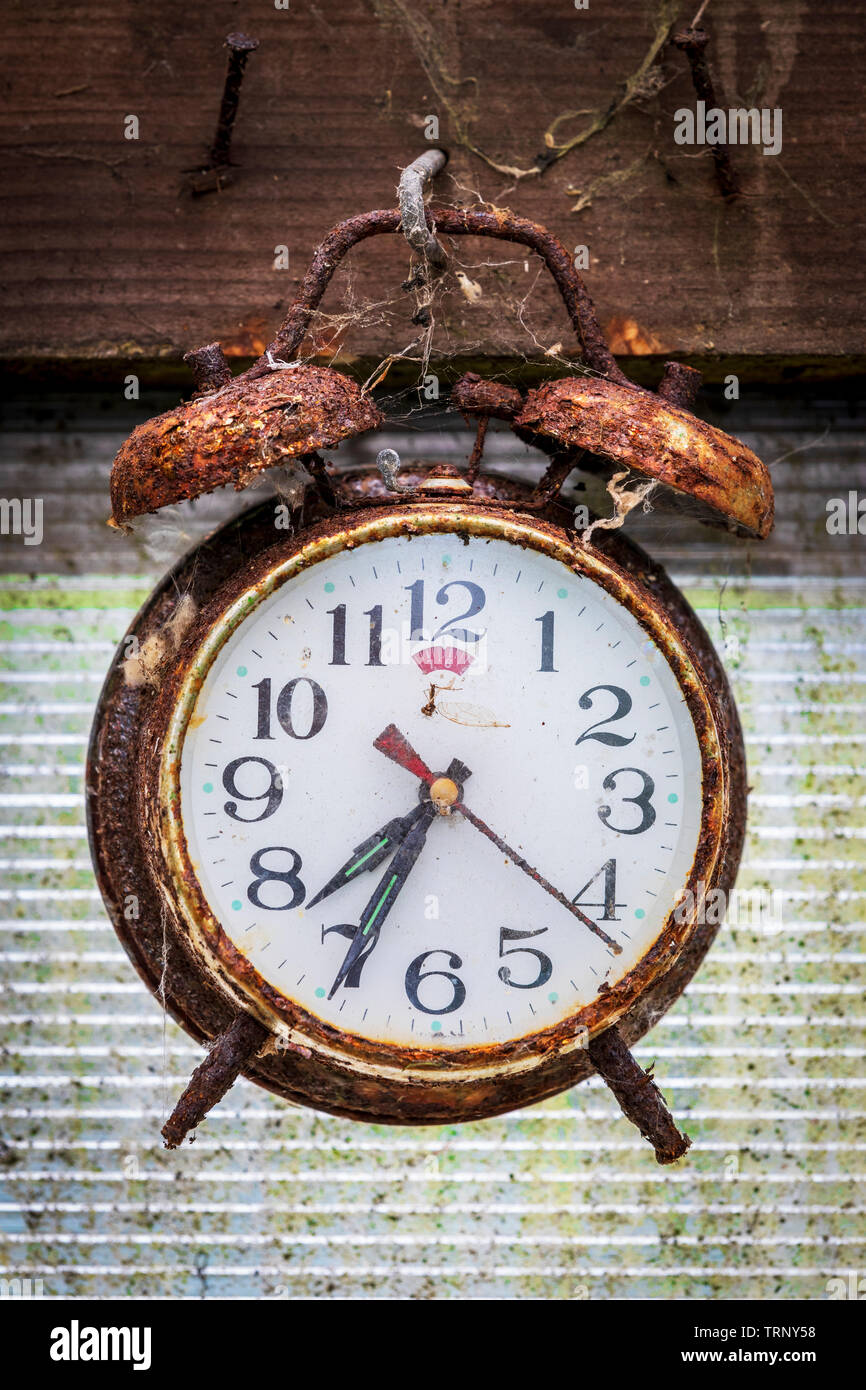 rusty alarm clock hanging on an old nail in a garden shed TRNY58