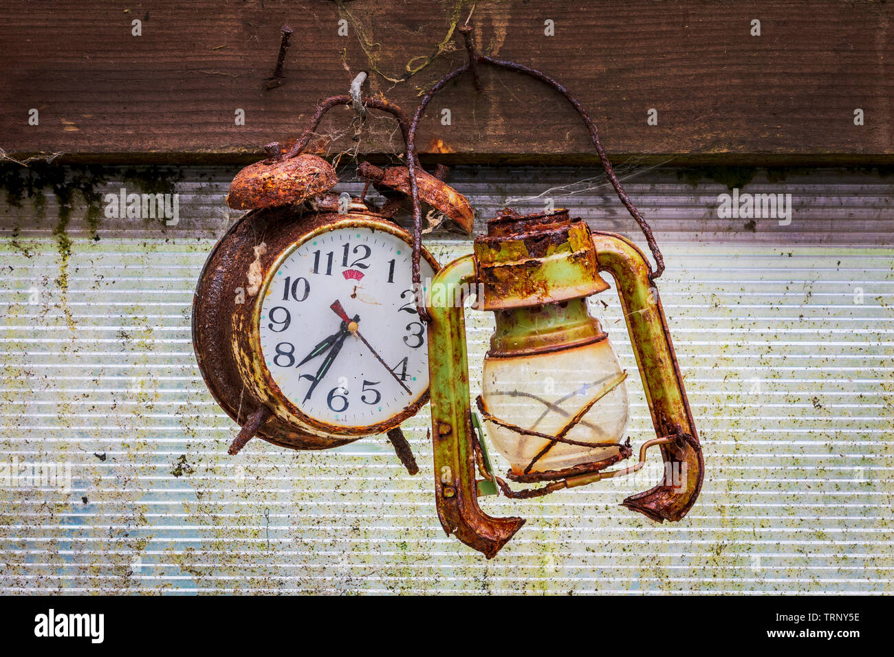 Old and rusty alarm clock hanging on a nail next to an old broken lantern, in a garden shed Stock Photo
