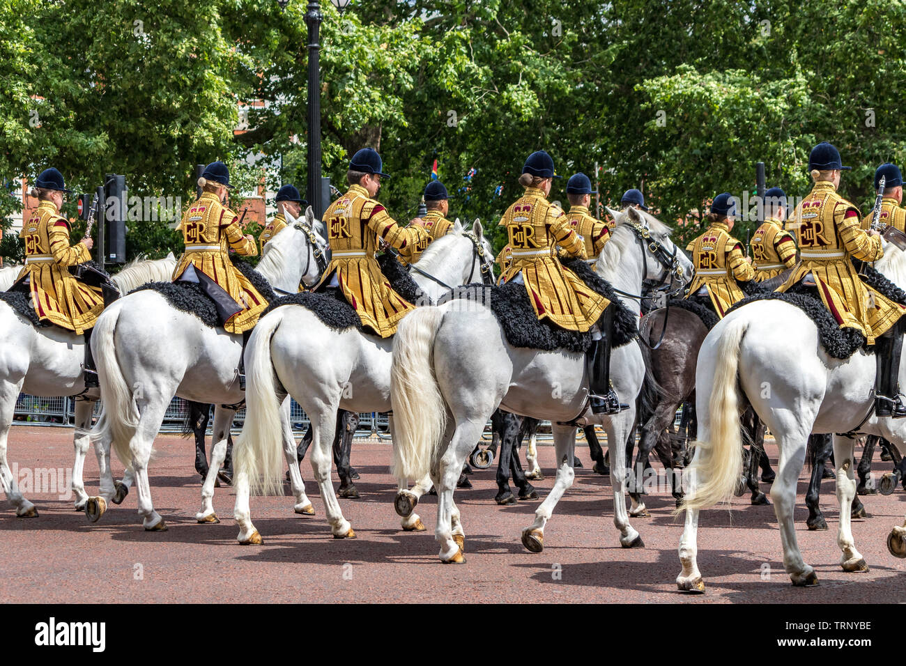 White horses of the Mounted Band of The Household Cavalry on The Mall at The Trooping The Colour Ceremony ,London, UK,2019 Stock Photo
