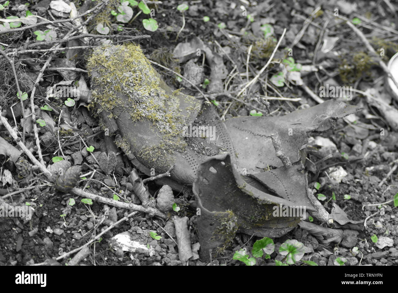 A Step Too Far Stock Photo Alamy