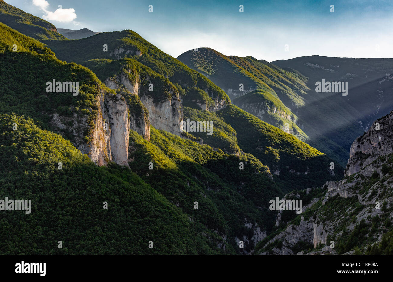 beech forests cover the ancient cliffs of the Feudo d'Ugni in the Eastern Majella Stock Photo