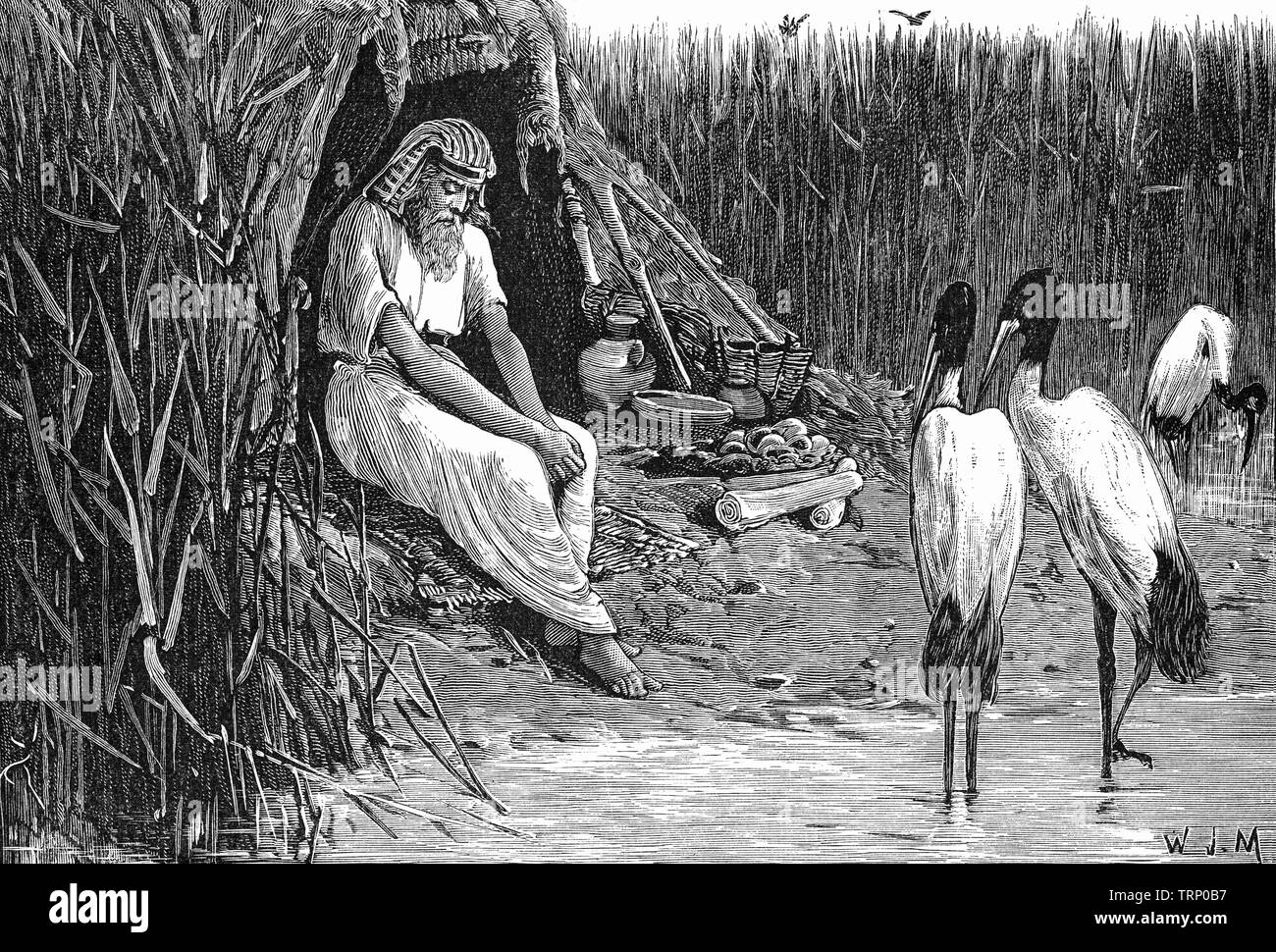 When Sabaco , an Etheopian conquered Egypt around 744 BC to create the 25th Dynasty, Anysis, a blind king took to an island in the marshes of the Nile delta where he stayed for the duration of Sabaco's reign. Stock Photo