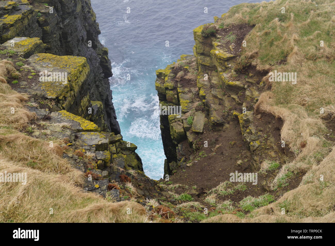 Marwick Head Orkney Islands Stock Photo