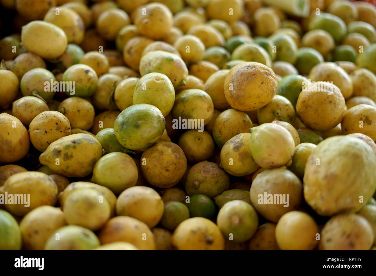 Fresh lemon for sale at vegetable market Stock Photo Alamy