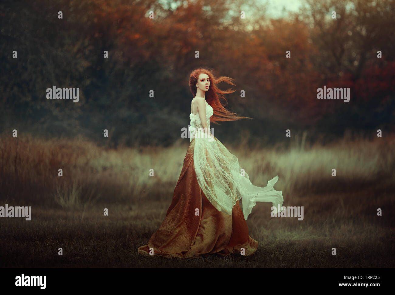 Beautiful young woman with very long red hair in a golden medieval ...