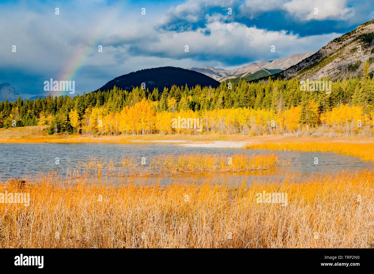 Rainbow, Middle Lake, Bow Valley Provincial Park, Alberta, Canada Stock