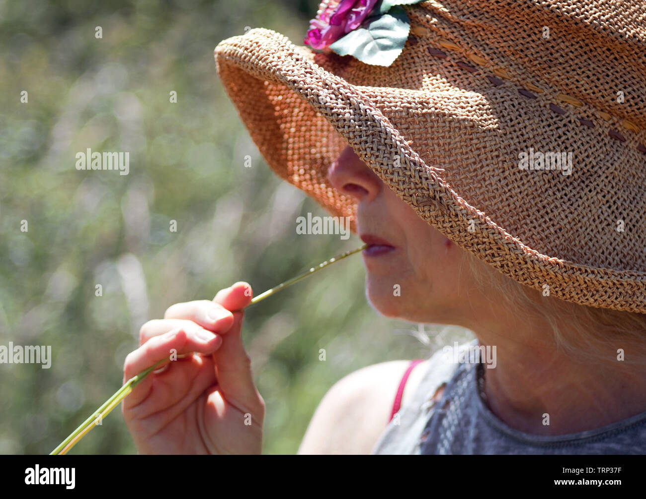 A woman wearing a summer hat chews on a stem of grass. Stock Photo