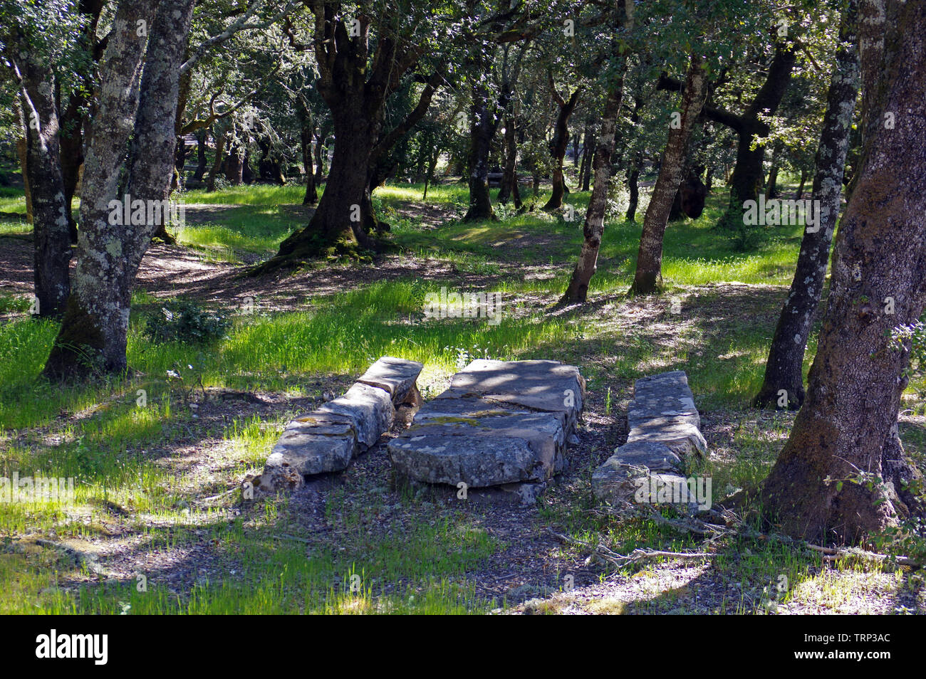 Villagrande Strisaili, Sardinia, Italy, Santa Barbara recreation area