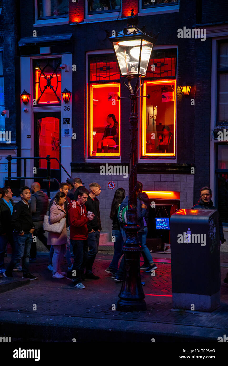Opførsel Bør Blot Amsterdam, Netherlands, red light district in the old town, bars, brothels,  sex shows, erotic shops, at Oudezijds Achterburgwal Stock Photo - Alamy