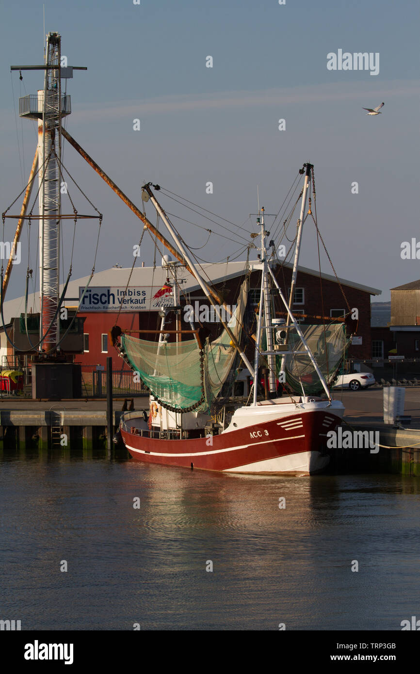 Fishing Boat moored in harbour. East Frisia. Lower Saxony. Germany. Stock Photo