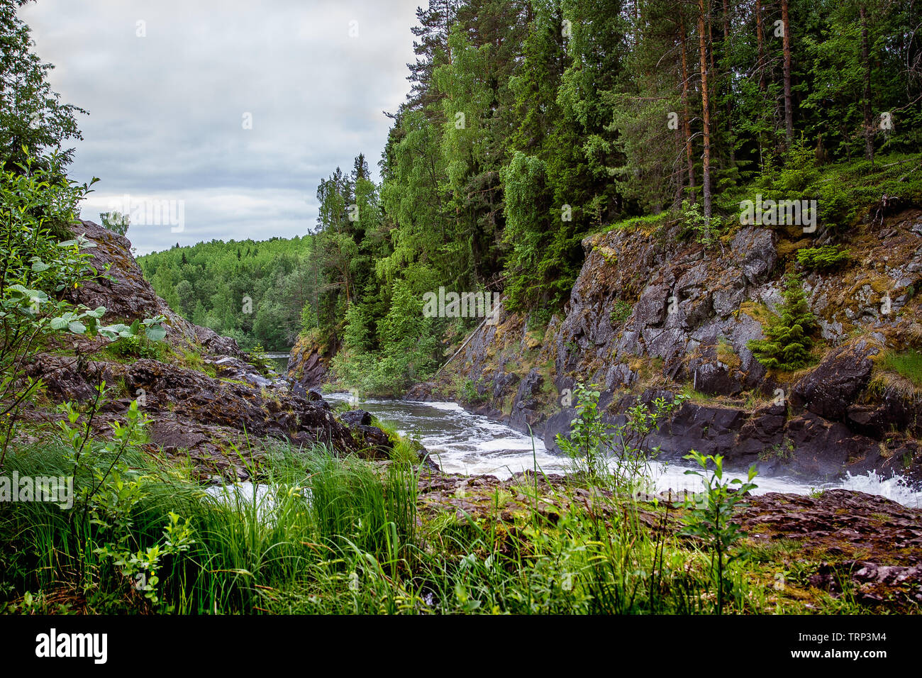 Waterfall Kivach in Karelia. Russia Stock Photo