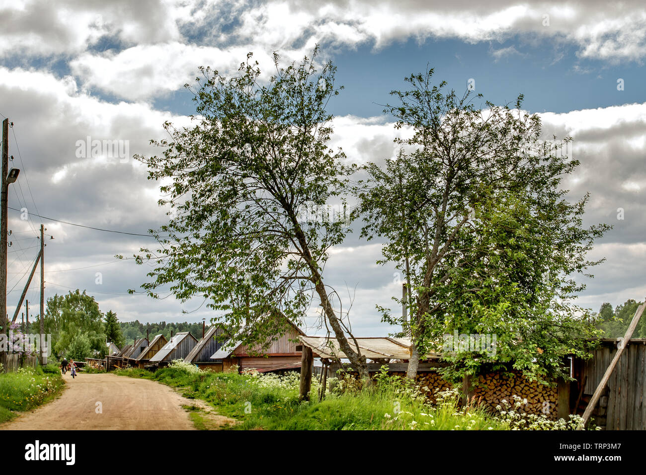 A small village in Karelia. Russia Stock Photo