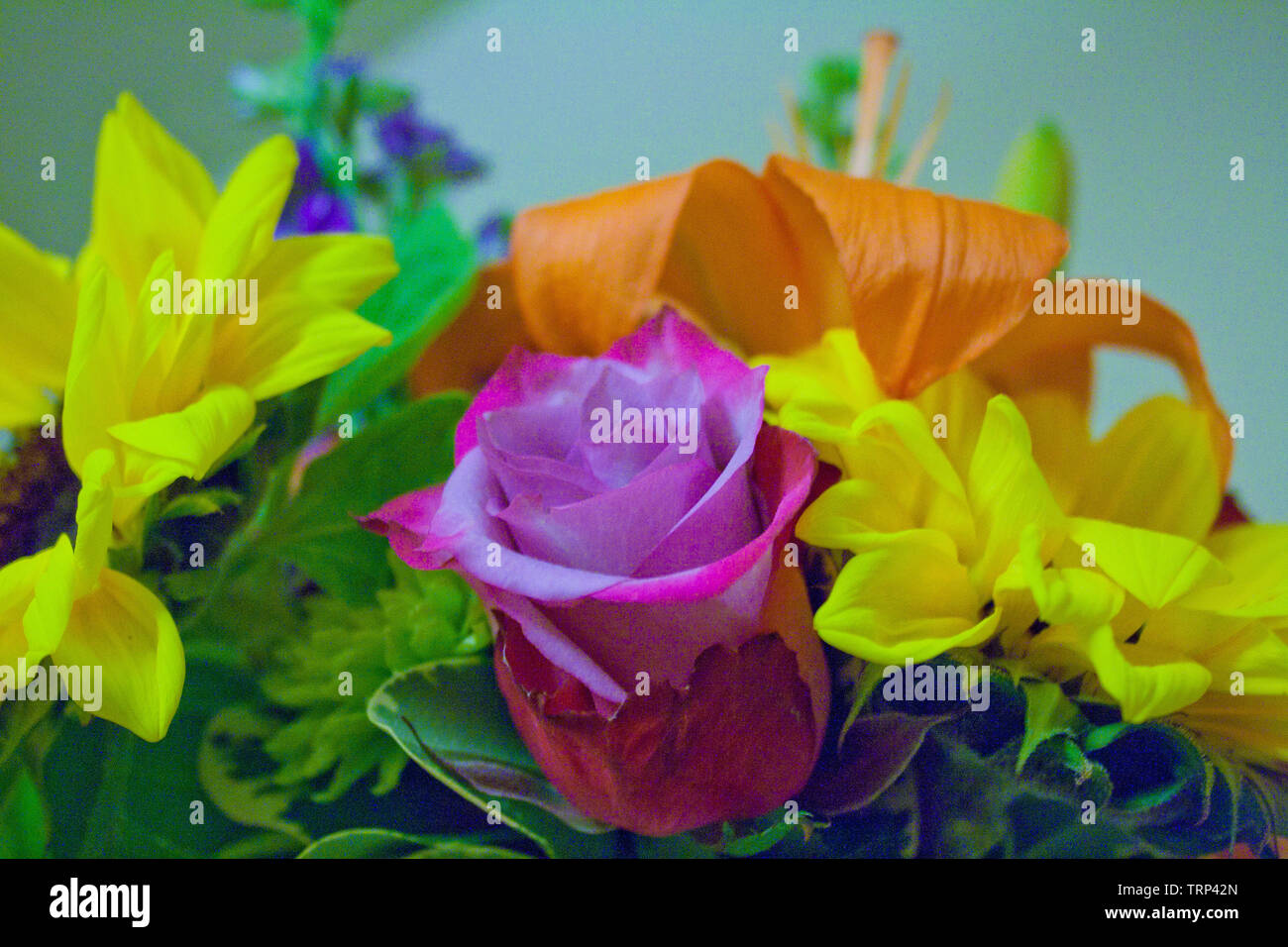Bouquet of flowers including sunflowers, roses and tiger lilies Stock