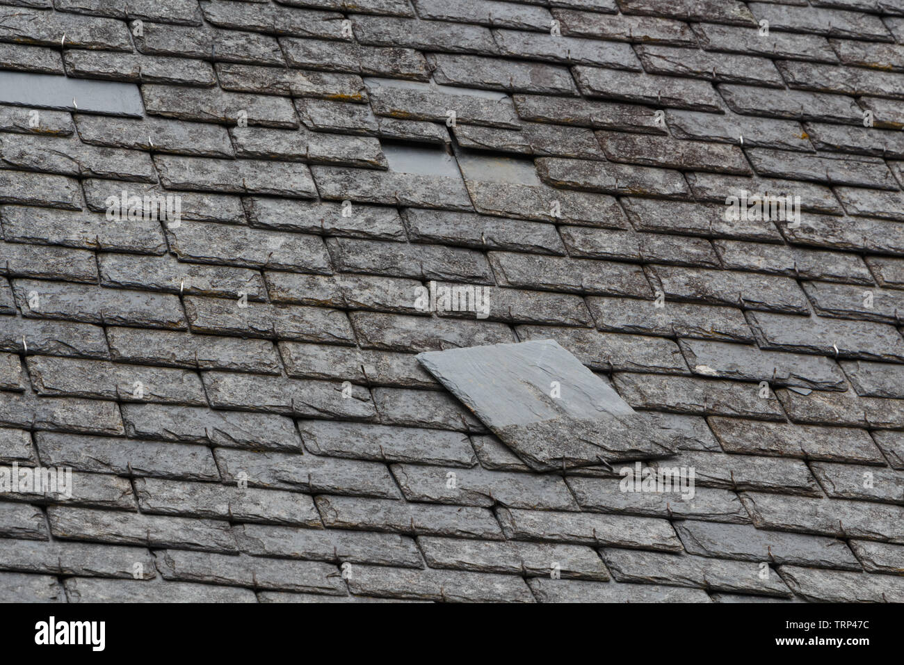 slate roof tile