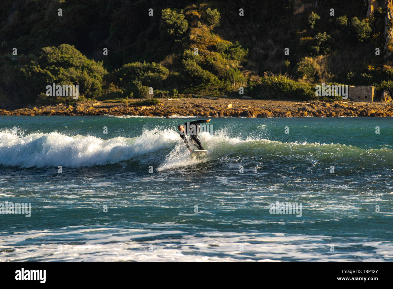 Joyful surfer Stock Photo