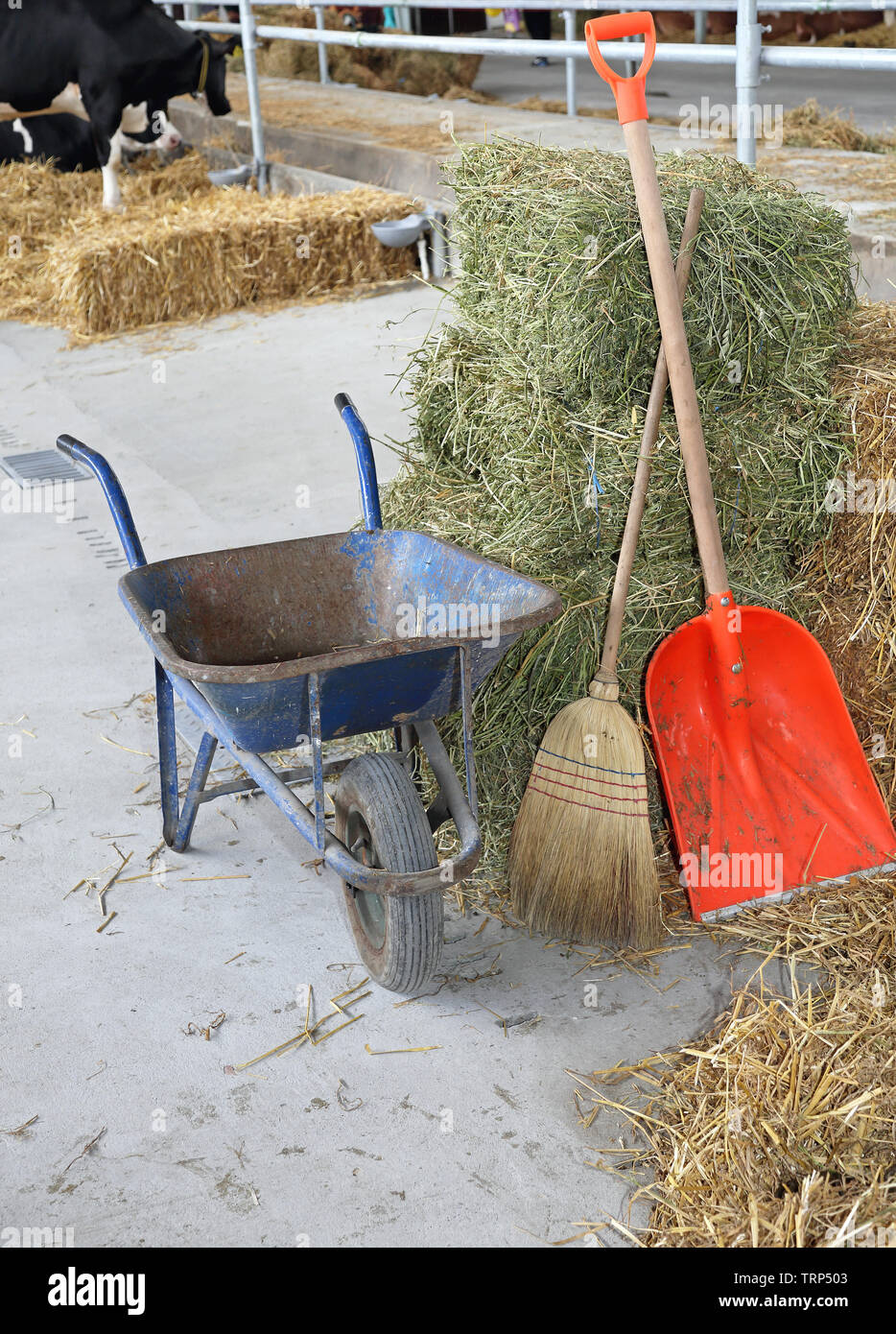 Shovel sale and broom