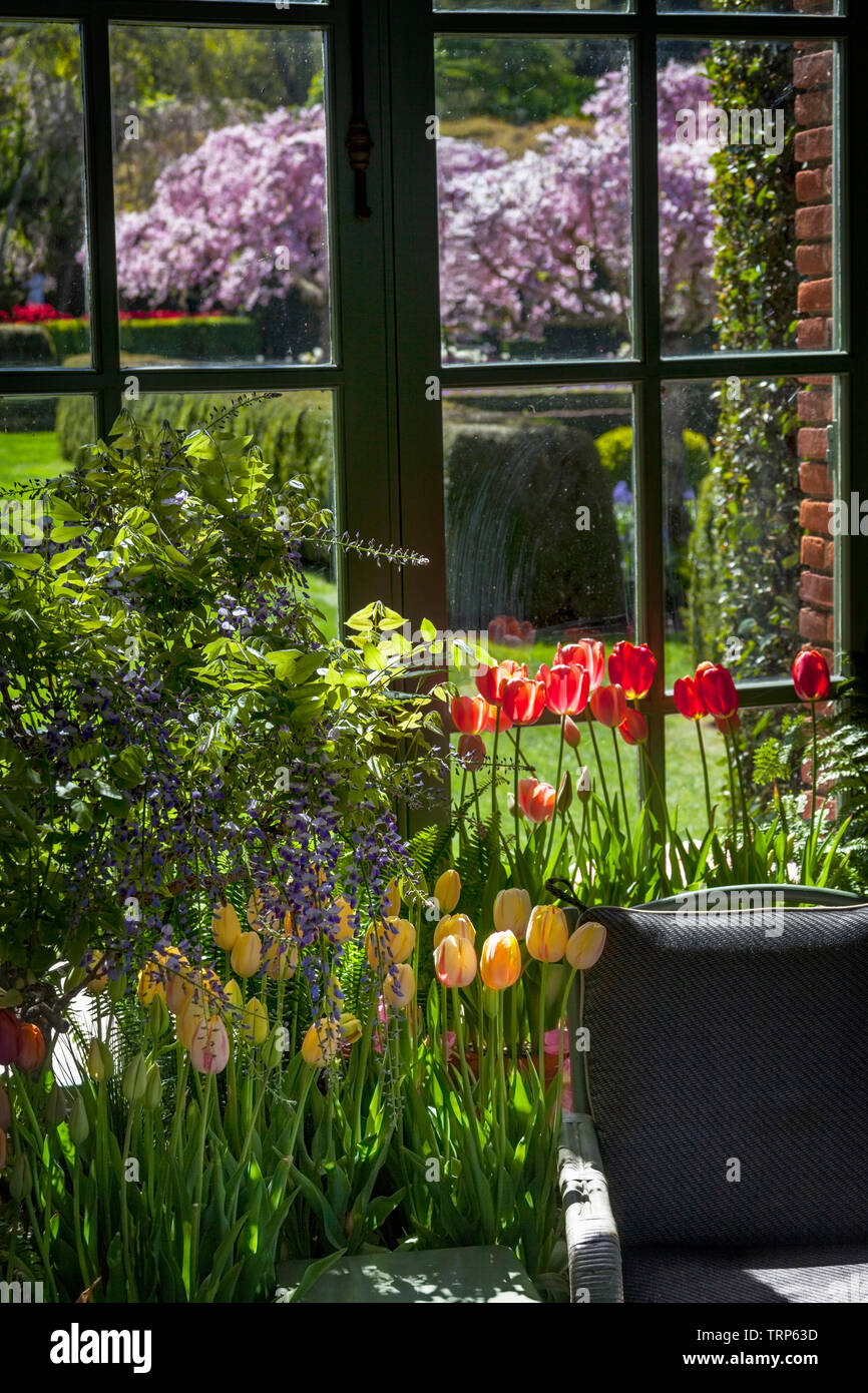 Flower Garden San Francisco Ca April 1 2017 An Image Of