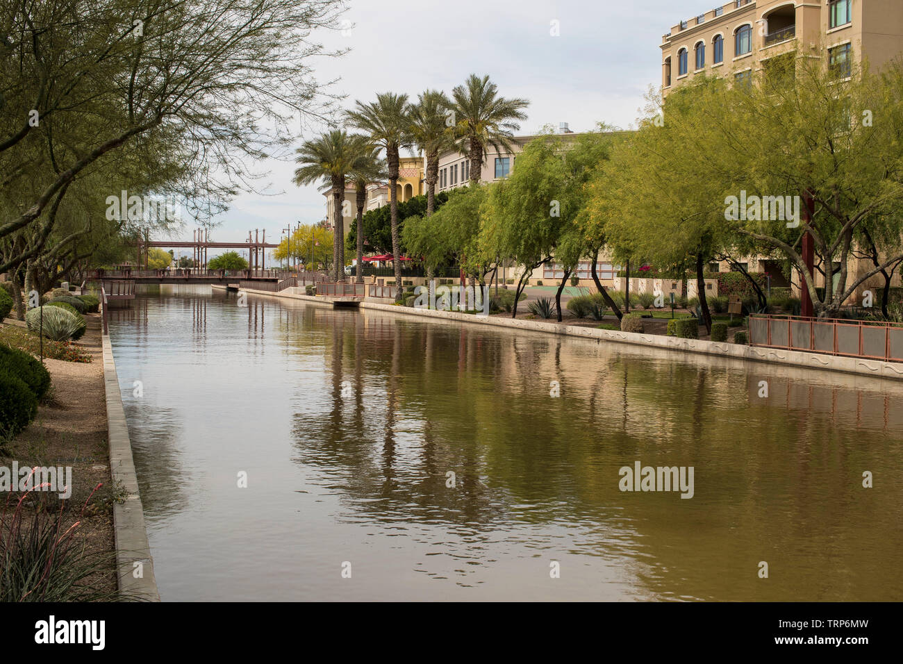 The waterfront region is a collection of high rise condos, apartments