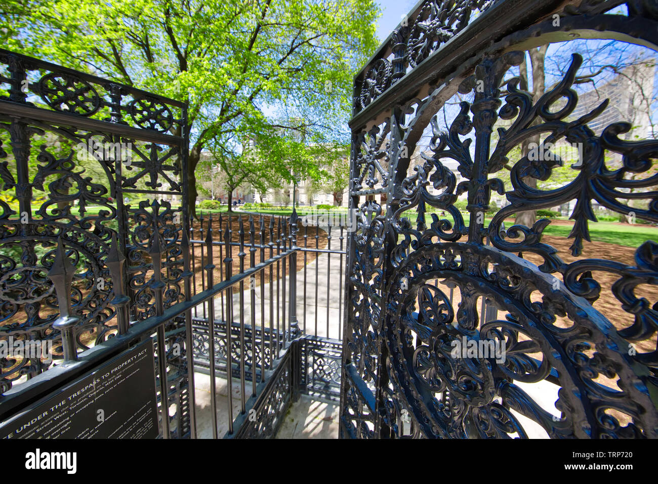 Osgoode Hall that houses the Ontario Court of Appeal, the Divisional