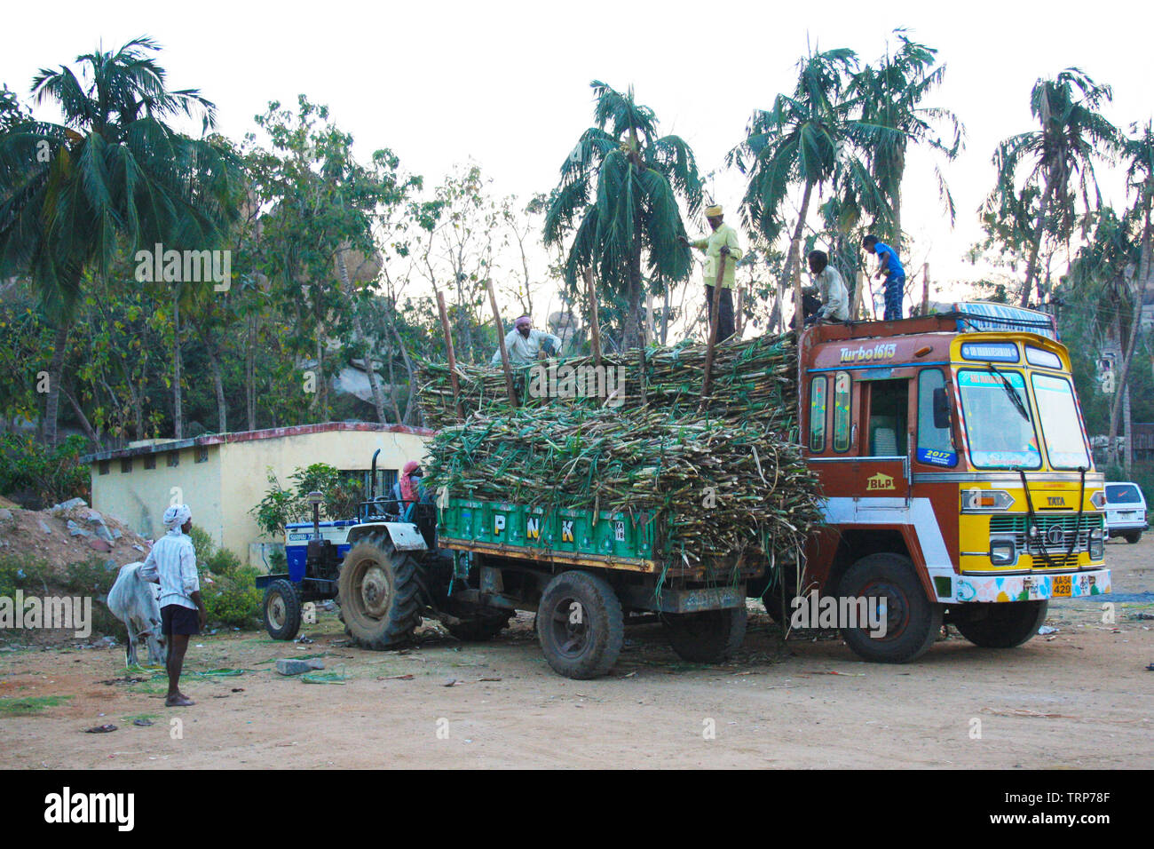 Sugar cane truck getting loaded in a parking lot in Hampi India Stock Photo