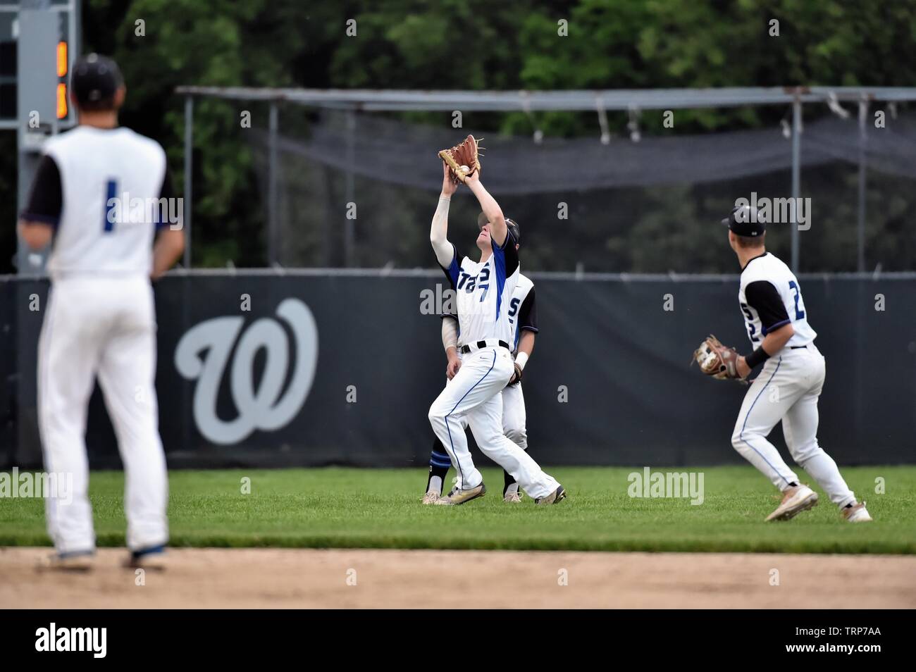 Second baseman ranging into shallow left field to make a catch of a pop fly ball. USA. Stock Photo