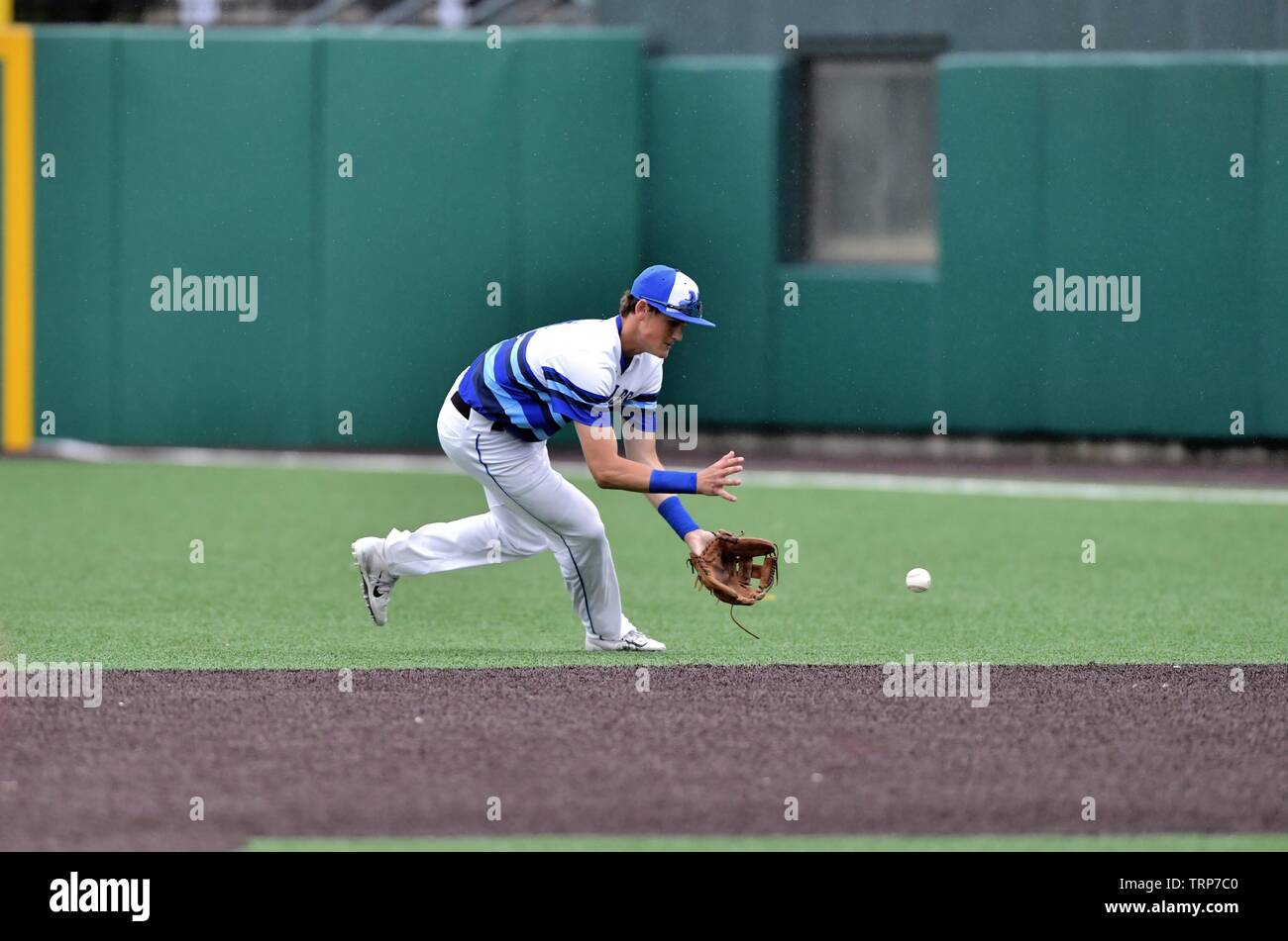 Second baseman ranging far to his left to field a ground ball on the outfield turf before throwing the batter out at first. USA. Stock Photo