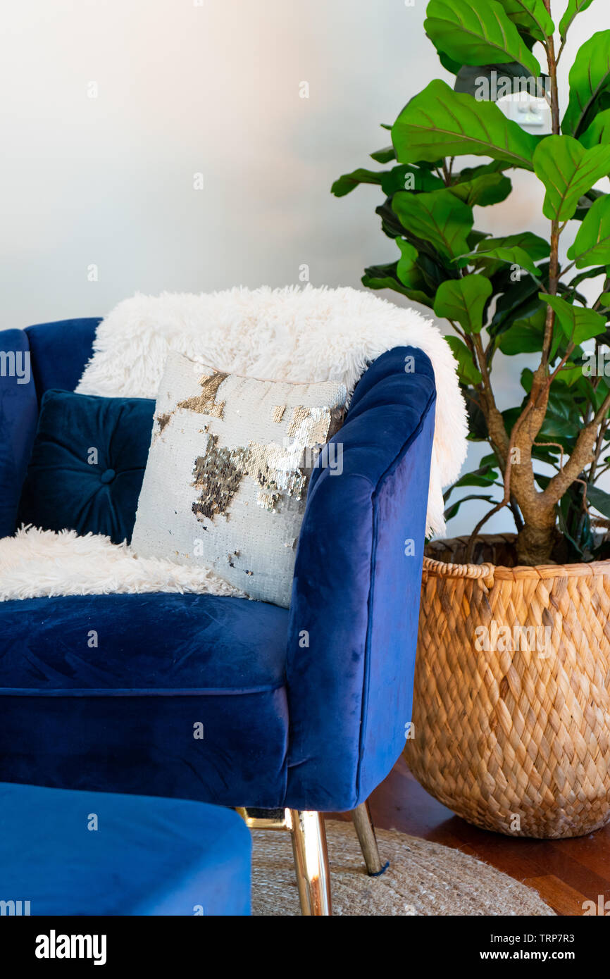 Interior living room style with blue velvet chair and artificial tree in basket. Stock Photo