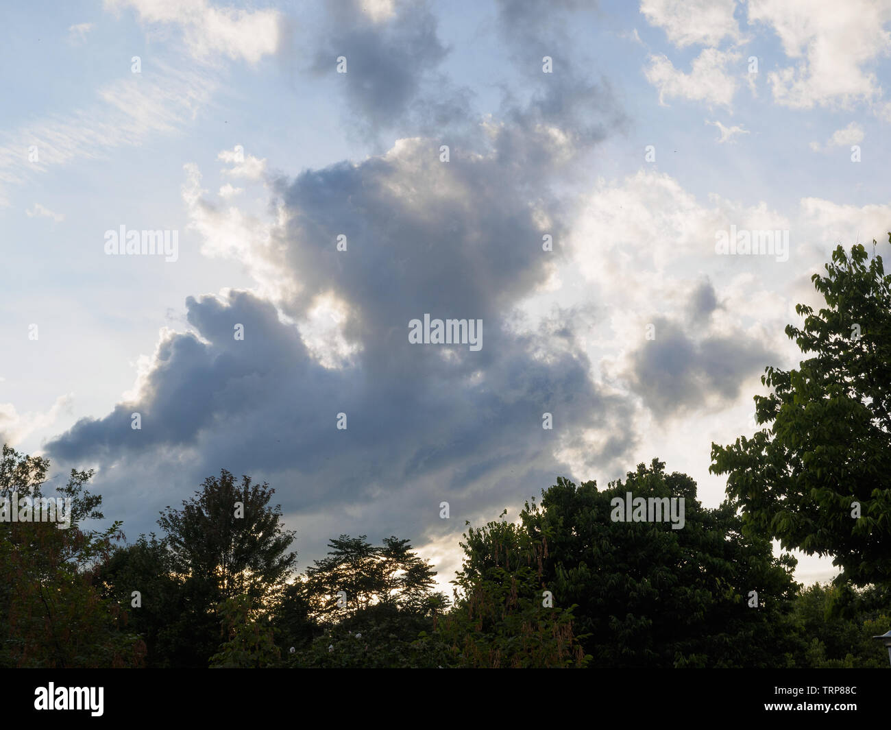 Stratocumulus clouds above treetops of Christie Pits Park Stock Photo