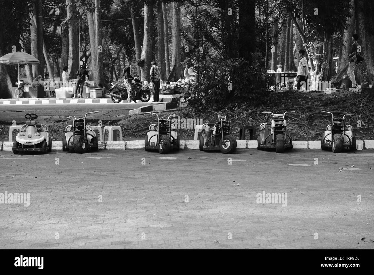 Zoo Black and White Stock Photos & Images - Alamy