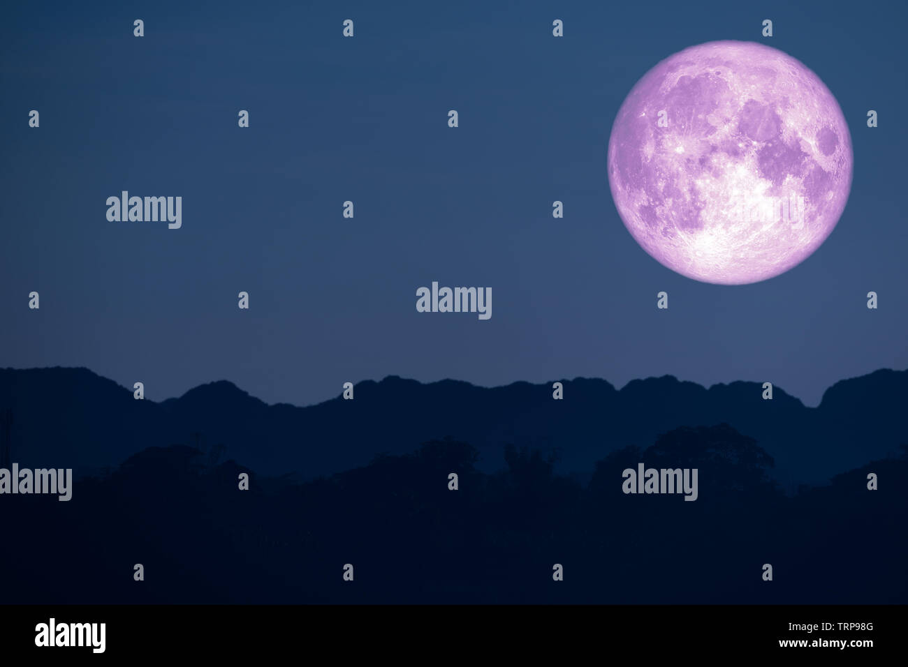 flower pink moon back on silhouette mountain on night sky, Elements of this image furnished by NASA Stock Photo