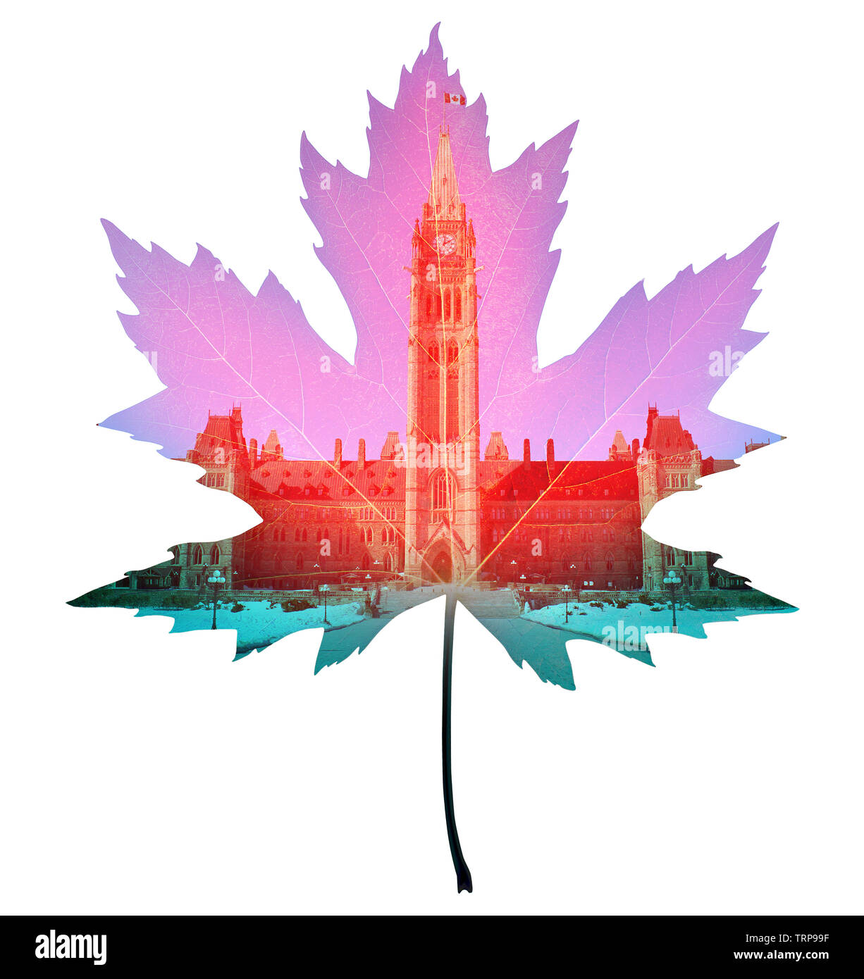 Canada maple leaf symbol as a canadian icon as a house of parliament in Ottawa or house of commons as a composite image. Stock Photo