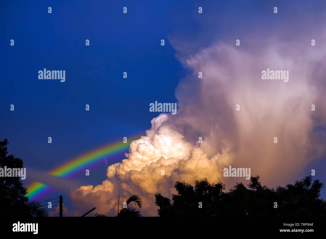 rainbow appears in the sky after the rain and back on sunset cloud over