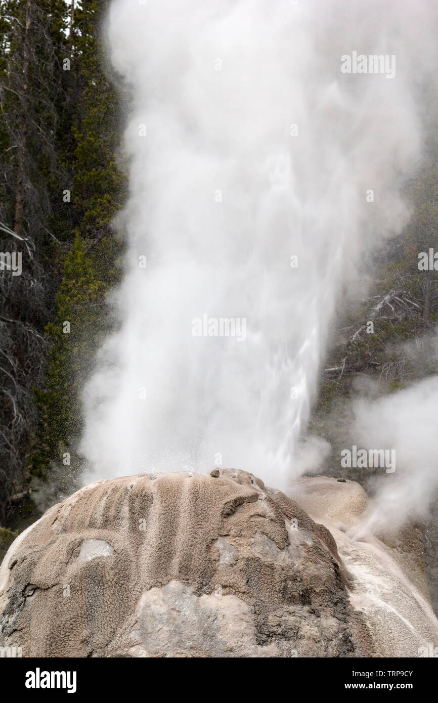 Lone Star Geyser in Yellowstone National Park Stock Photo