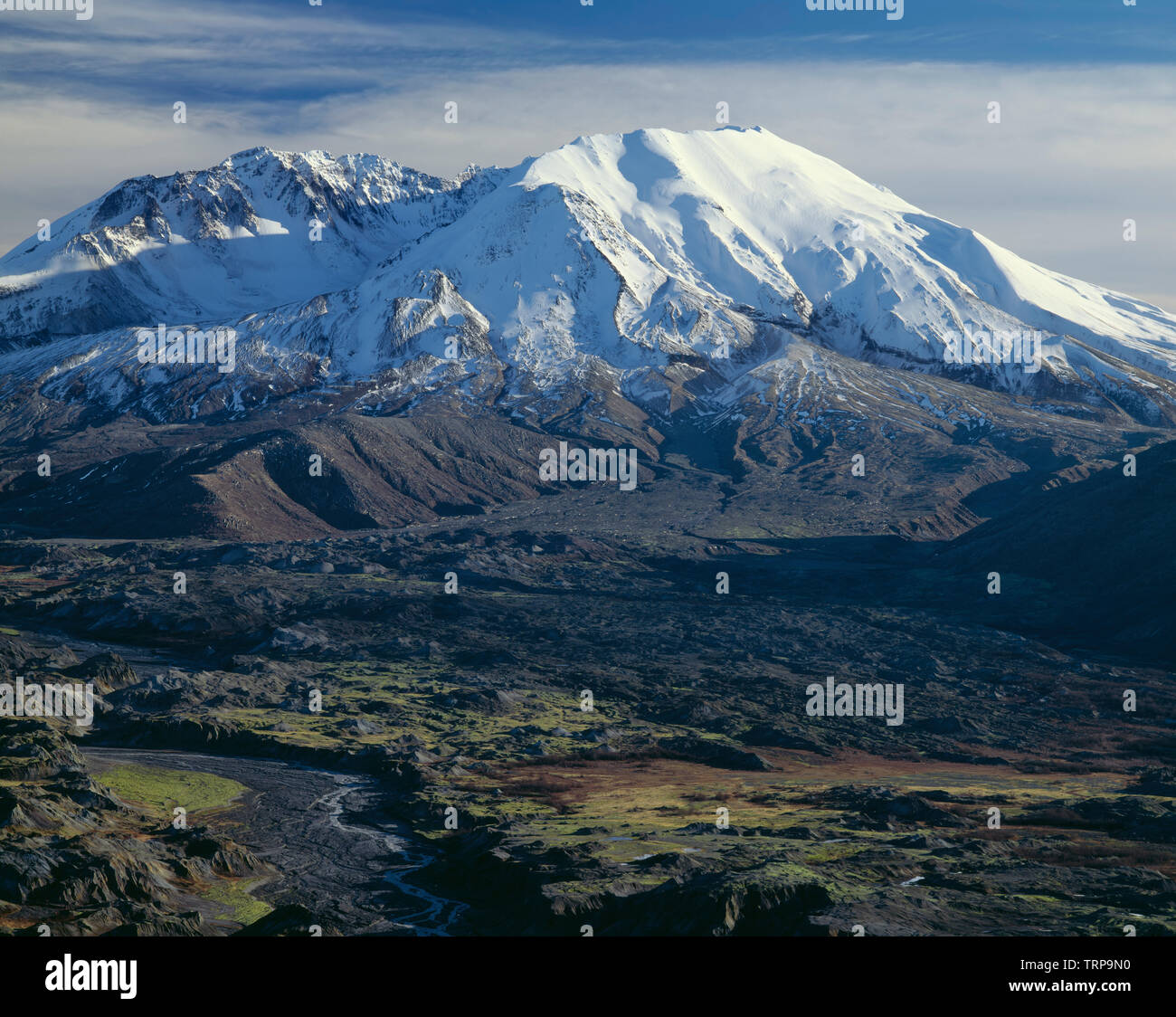 USA, Washington, Mt. St. Helens National Volcanic Monument North side ...