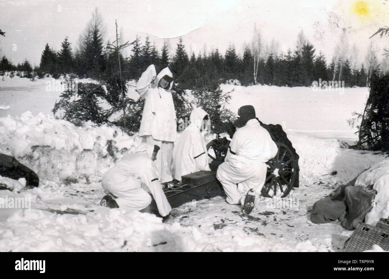 German Soldiers in White Camouflage from the 4th Polizei Division with 75mm Light Infantry Gun in the winter of 1942 on the Russian Front Stock Photo