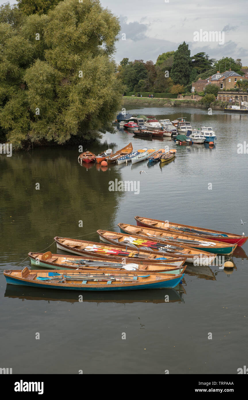 Ruderboote auf der Themse, Richmond.// Rowing boats on the Thames, Richmond, Great Britain. // Barques sur la Tamise, Richmond près de Londres. Stock Photo