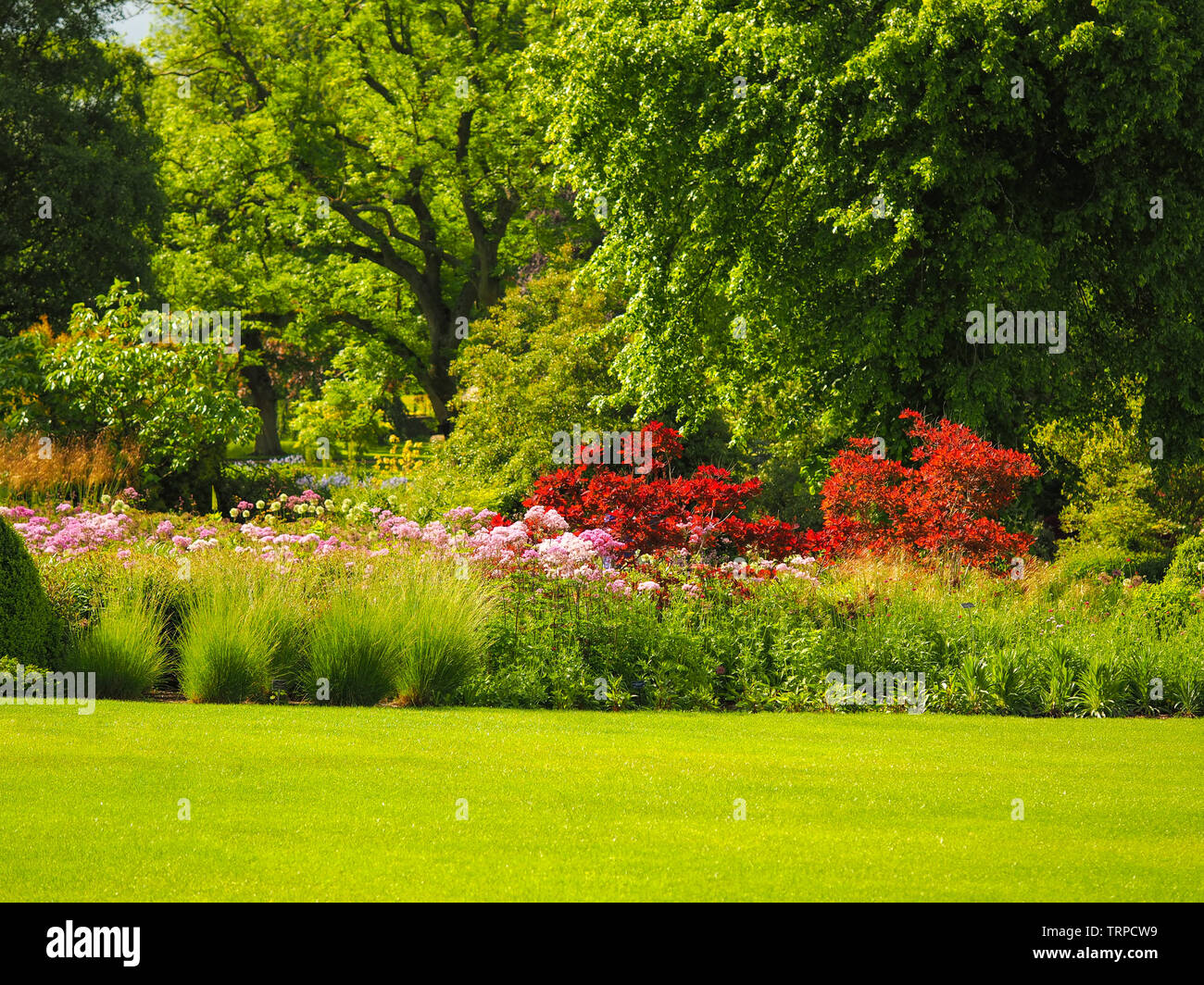 Bright summer colours in Harlow Carr Garden, Harrogate, North Yorkshire, England Stock Photo