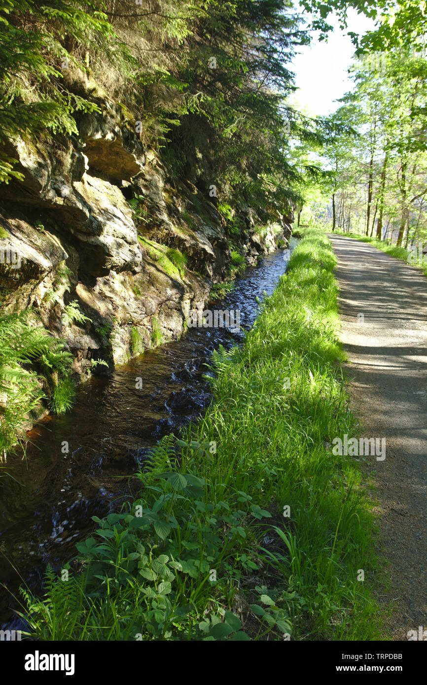 Upper Harz Water Regale (Oberharzer Wasserregal), Germany, water management, Rehberger Graben Stock Photo