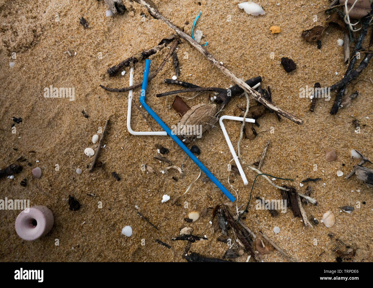 Plastic straws garbage left on the sand. Close up. Stock Photo