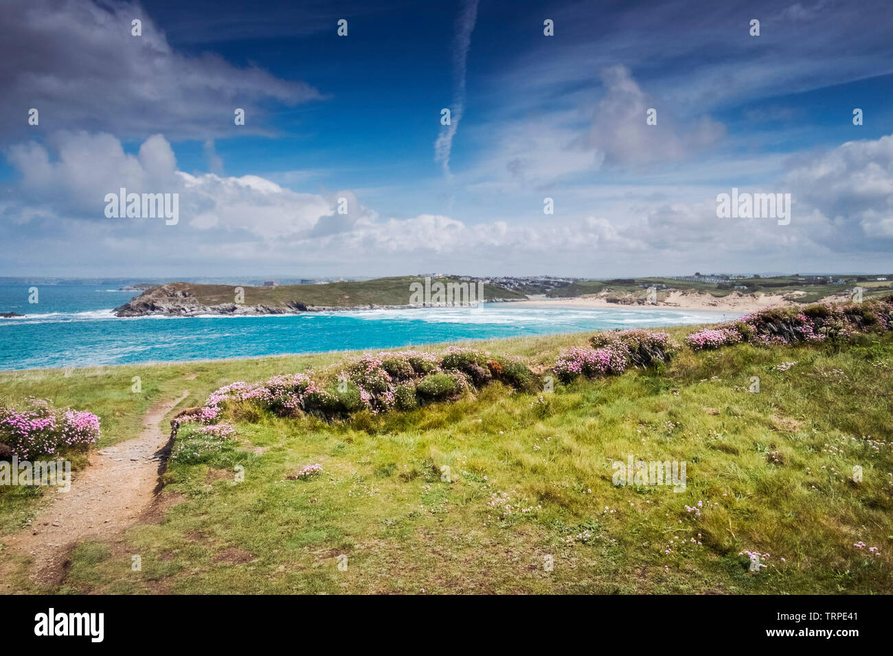 The award winning Crantock Beach seen from Pentire Point West in Newquay in Cornwall. Stock Photo