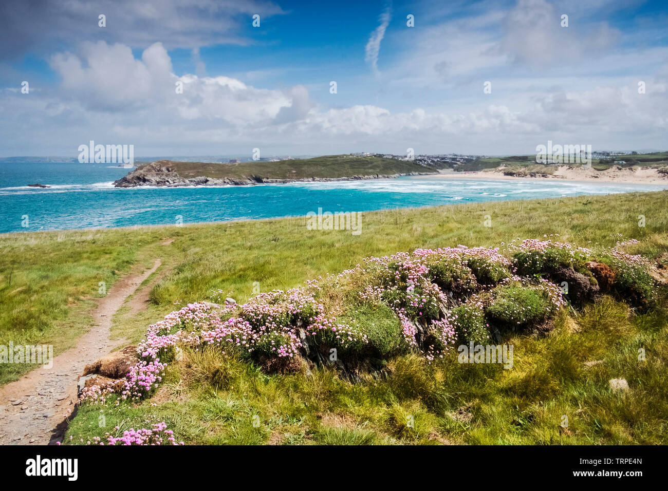 The award winning Crantock Beach seen from Pentire Point West in Newquay in Cornwall. Stock Photo